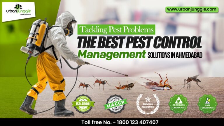 Tackling Pest Problems: The Best Pest Control Management Solutions in Ahmedabad