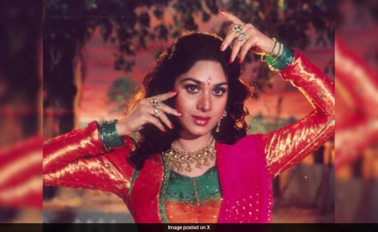 Meenakshi Seshadri On Being Ousted From Damini For Rejecting Rajkumar Santoshi’s Marriage Proposal: “I Stood Up”