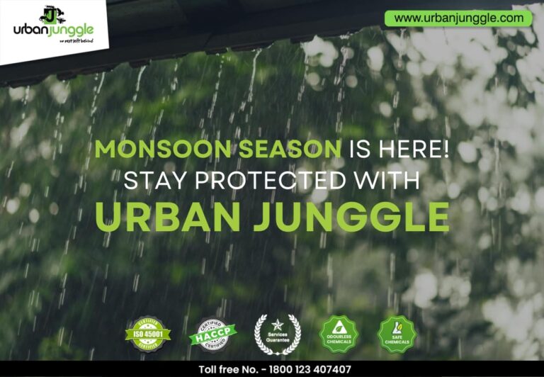 Monsoon season is here: Stay Protected with Urban Junggle