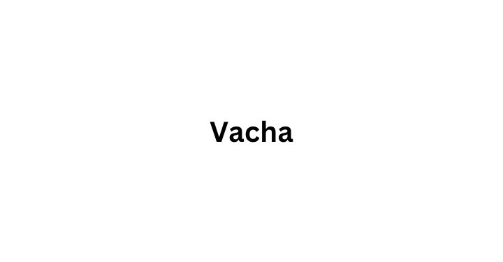 Vacha: Building a Stronger Community Through Corporate Social Responsibility