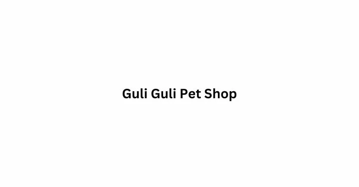 Guli Guli Pet Shop Celebrates Three Years of Excellence in Pet Products