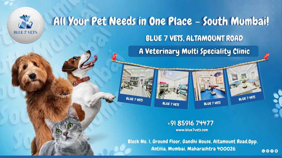 BLUE7VETS Clinic: 15 Years of Trusted Veterinary Care in Mumbai