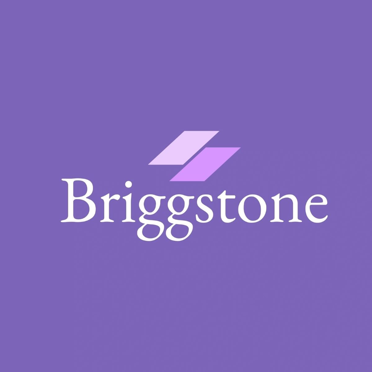 Briggstone: Redefining the Construction Procurement Landscape